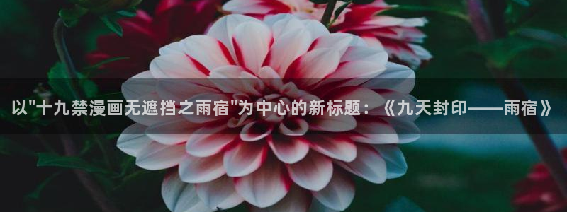 禁漫天堂最新版下载安装