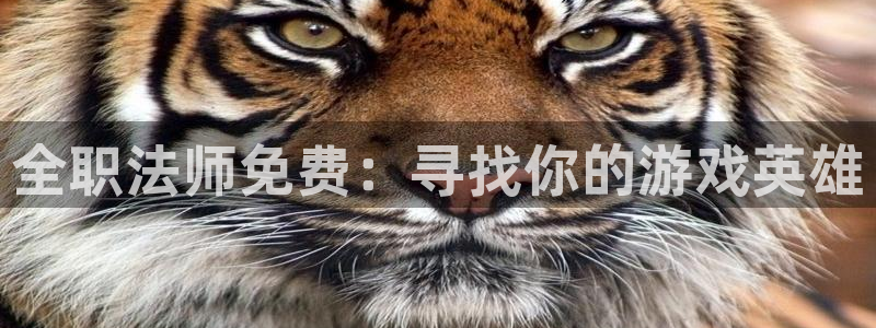 禁漫天堂官方入口网