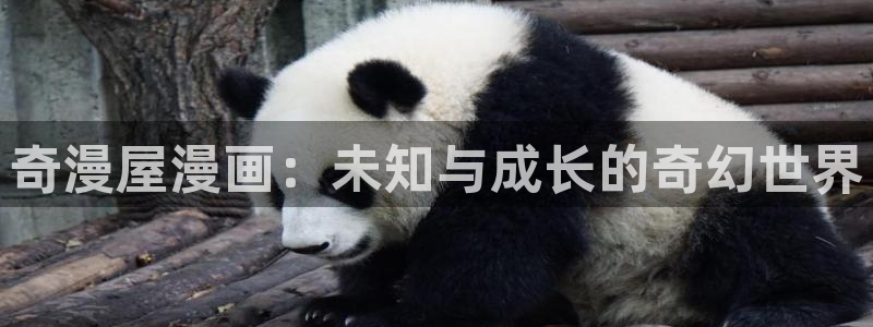 禁漫天堂不能用了