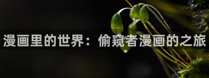 免费看禁漫天堂